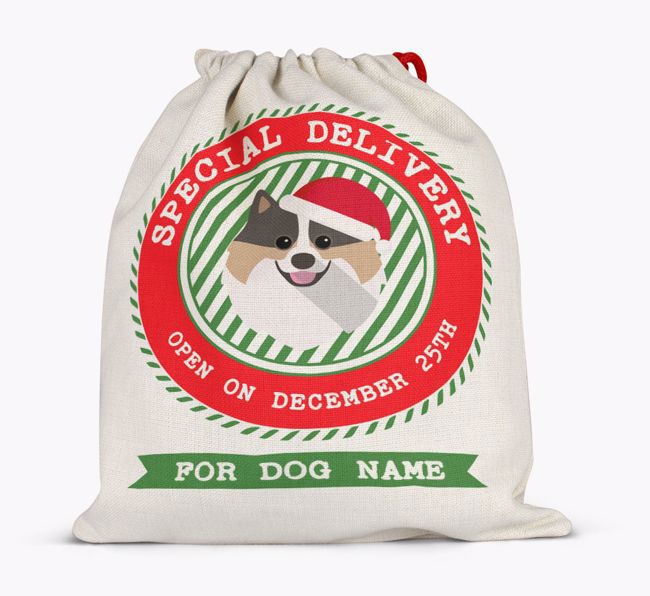 Special Delivery: Personalised {breedFullName} Santa Sack